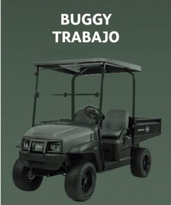 Buggy Trabajo